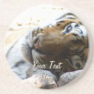 Winking Tiger Coaster