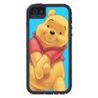 Winnie the Pooh 13