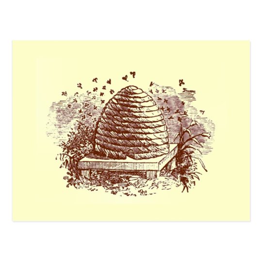 Winnie the Pooh Beehive Postcard | Zazzle.co.uk