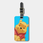 Winnie the Pooh