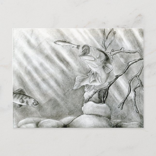 Winning art by  A. Steiger - Grade 10 Postcard (Front)