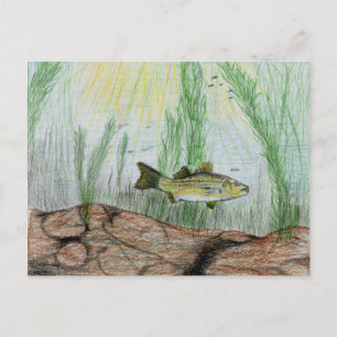 Winning Art By B. Selby Grade 4 Postcard