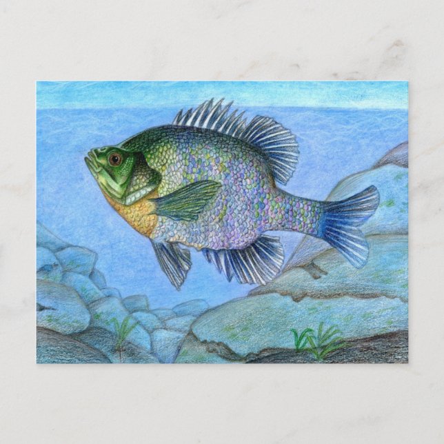 Winning artwork by L. Luan, Grade 7 Postcard (Front)