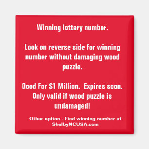 Winning Lottery Number Magnet