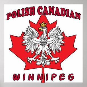 Winnipeg Polish Canadian Leaf Poster