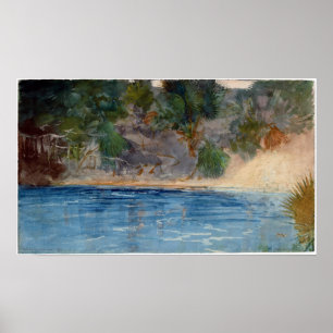 Winslow Homer Blue Spring, Florida Poster