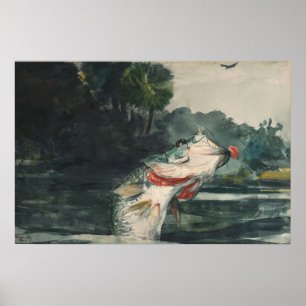 Winslow Homer Life Size Black Bass Poster