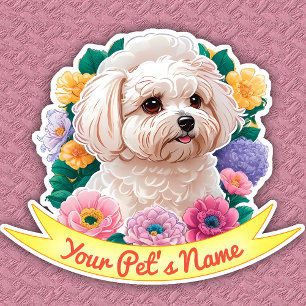 Winsome Bichon Frisé, yellow, pink & purple flower