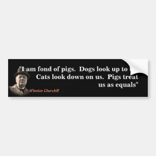 Winston Churchill Quote On Pigs  Bumper Sticker