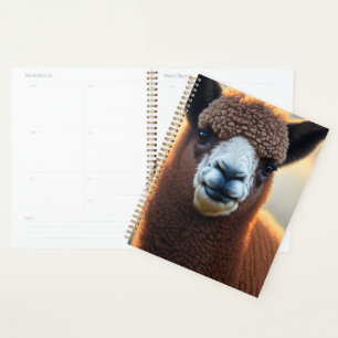 Winston The Brown Alpaca, Planner