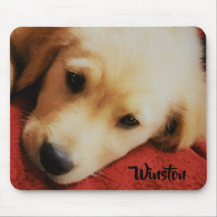 Winston the Golden Retriever Puppy, Mousepad