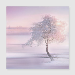 Winter 05