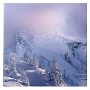 Winter 10 tile