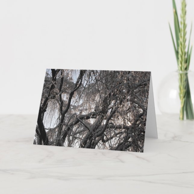 Winter ~ 15 holiday card (Front)