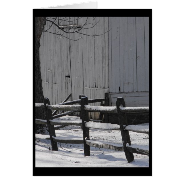 Winter ~ 1.5 (Front)