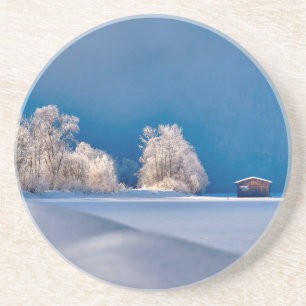 Winter 2019-07 coaster