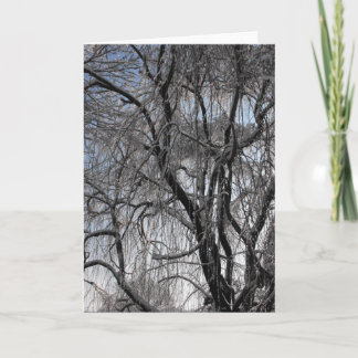 Winter ~ 24 holiday card