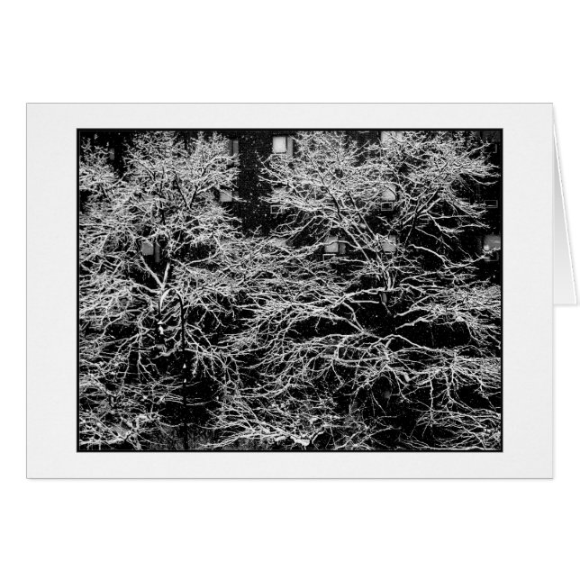 'Winter Abstract' Holiday Card - Christmas (Front Horizontal)