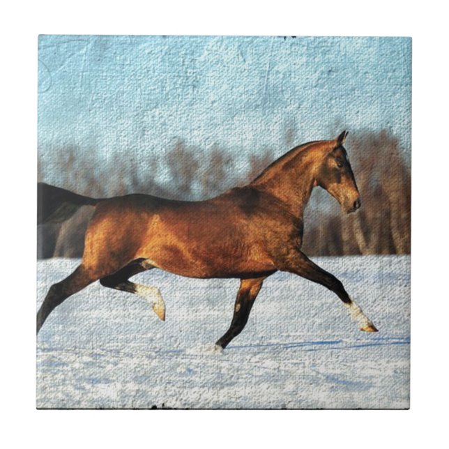 Winter Akhal-teke Tile (Front)