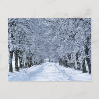winter alley postcard