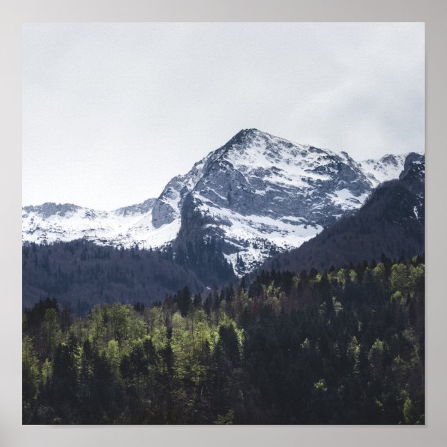 Winter and Spring - green trees and snowy mountain Poster (Front)