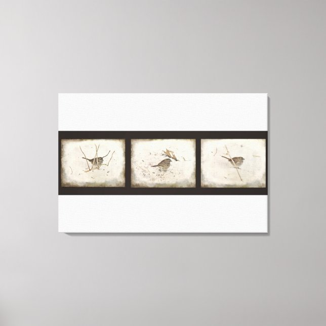 Winter and the Sparrow Canvas Print (Front)