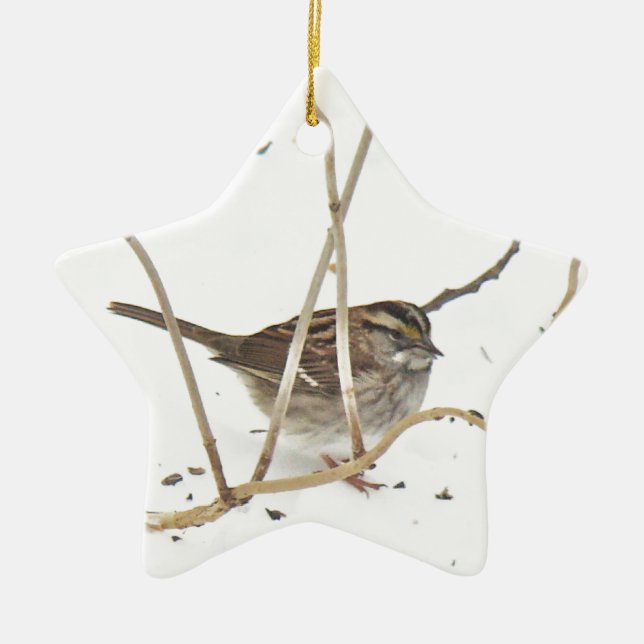 Winter and the Sparrow Ceramic Tree Decoration (Front)