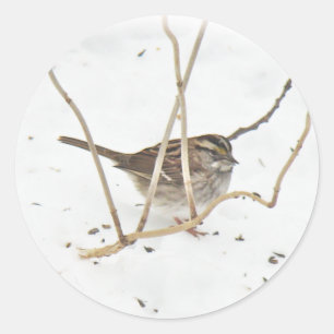 Winter and the Sparrow Classic Round Sticker