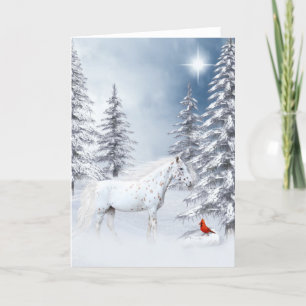 Winter appaloosa holiday card