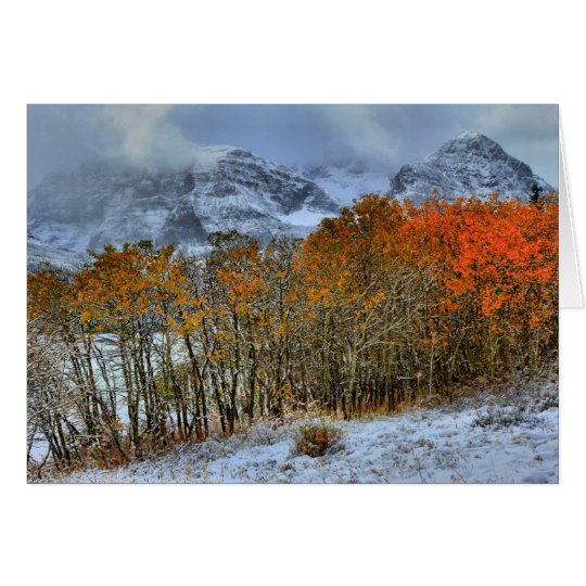 Winter Approaches Card