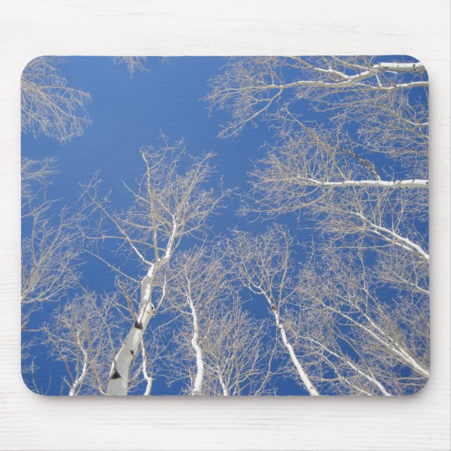 Winter Aspen Trees Mouse Mat (Front)
