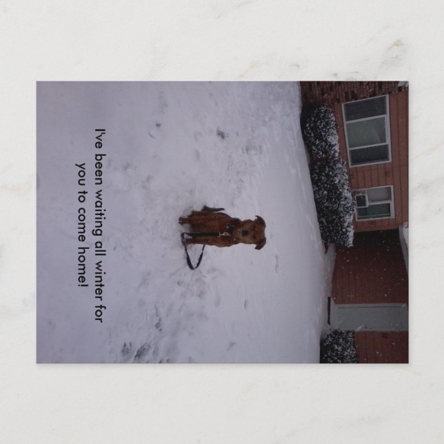 Winter Away Postcard (Front)