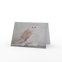 Winter Barn Owl Greetings Card