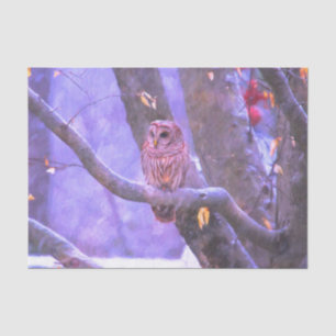 Winter Barn Owl Tissue Paper