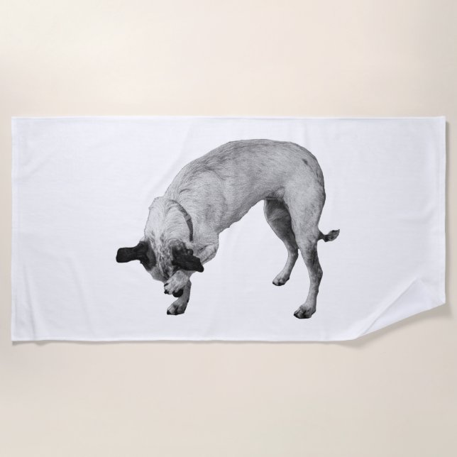Winter Bashful Terrier Beach Towel (Front)