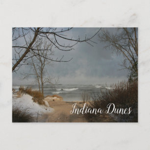 Winter Beach, Lake, Indiana Dunes Ntl.Lakeshore Postcard