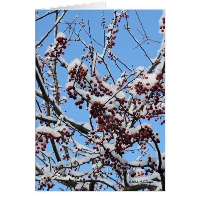 "Winter Berries" (Front)