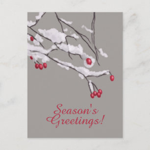 Winter Berries Branches In Snow Seasons Greetings Holiday Postcard