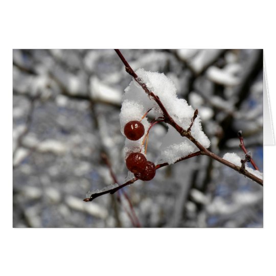 Winter Berries Card
