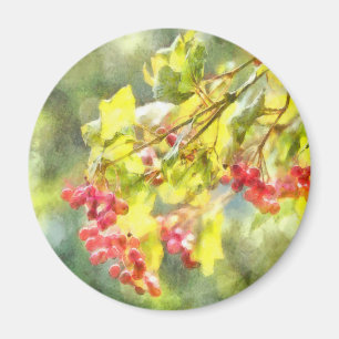 Winter Berries Watercolor Magnet