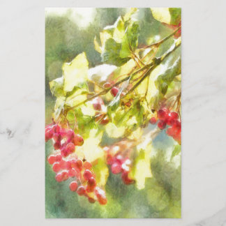 Winter Berries Watercolor Stationery