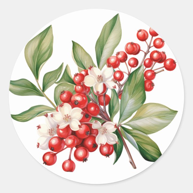 Winter Berry Stickers (Front)