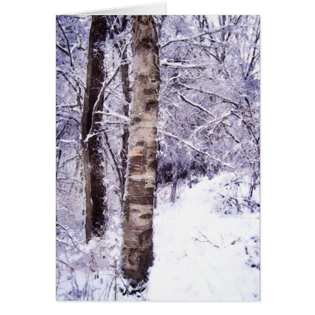 Winter Birch Tree (Front)