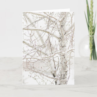 Winter Birch Tree - add your custom greeting Holiday Card