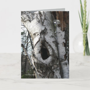 Winter Birch Trees Card