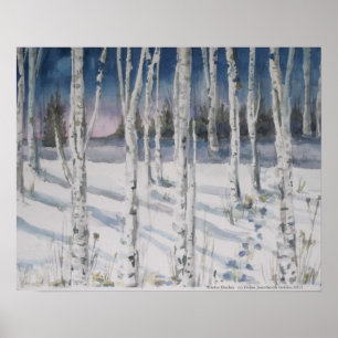 Winter Birches watercolor Poster