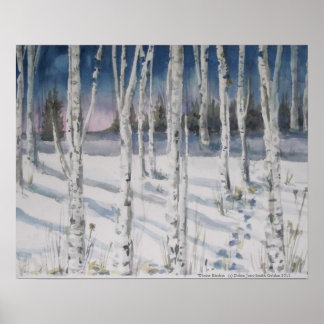 Winter Birches watercolor Poster