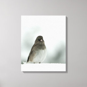 Winter Bird Canvas Print