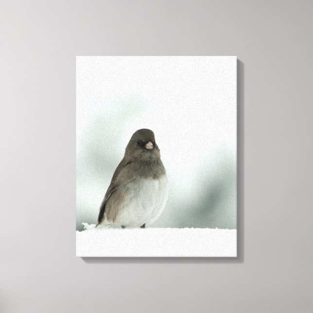 Winter Bird Canvas Print (Front)