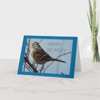 Winter Bird Happy Birthday